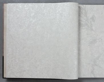 Обои A.S. Creation Sylvana 79126-4 изображение 2