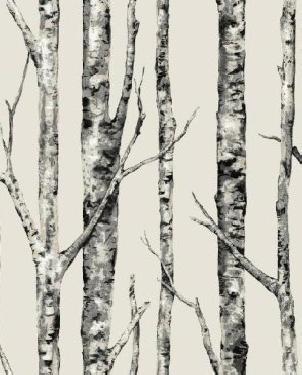 Обои Ronald Redding Diamond Lodge LL4759