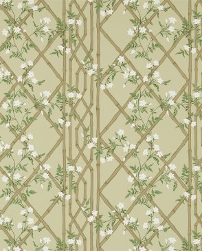 Обои Zoffany Woodville ZWOO311329