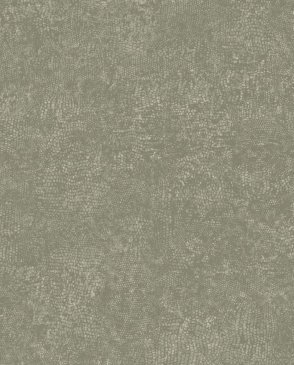 Американские Обои коричневые Plains&Textures 1221500 изображение 0