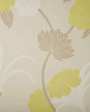 Обои Sanderson Pom Pom Papers Pom Pom Papers DPOMSU101 изображение 0