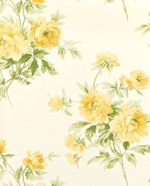 Обои Sanderson Caverley DCAVAD102