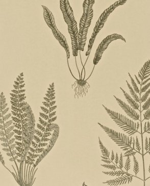 Обои Sanderson Painter's Garden Painter's Garden DAPGWO103 изображение 0