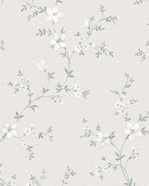 Обои Alessandro Allori Bruni RBN1001-1