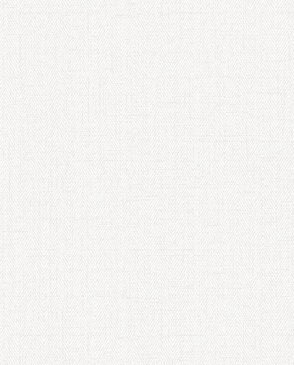 Обои белые Bruni RBN1002-1 изображение 0