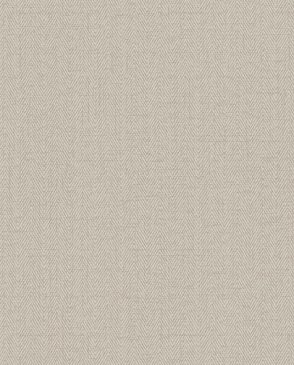 Обои Alessandro Allori Bruni RBN1002-24