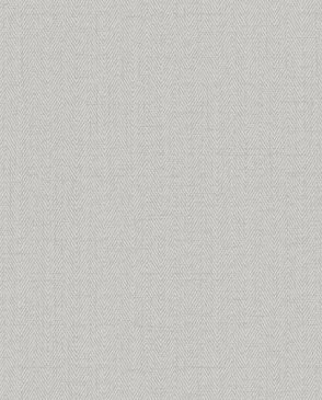 Обои Alessandro Allori Bruni RBN1002-28