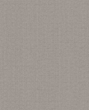 Обои Alessandro Allori Bruni RBN1002-29