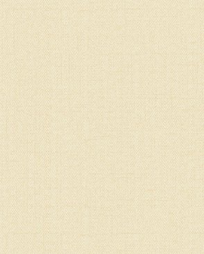 Обои желтые Bruni RBN1002-46 изображение 0