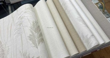 Обои Alessandro Allori Giorgio RGI1009-2 изображение 3