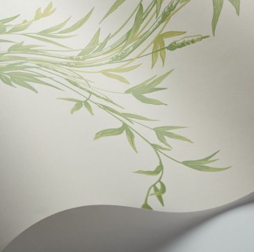 Обои Cole & Son Archive Anthology 100-5023 изображение 3