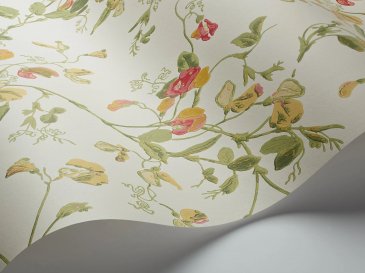 Обои Cole & Son Botanical 100-6027 изображение 2