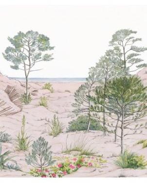 Обои Caselio Reliefs Reliefs 106377037 изображение 0