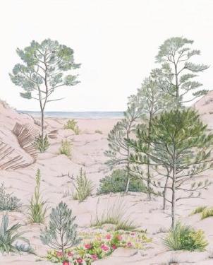 Обои Caselio Reliefs Reliefs 106377038 изображение 0