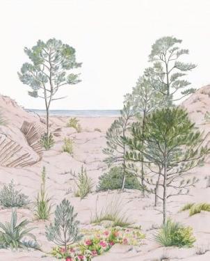 Обои Caselio Reliefs Reliefs 106377039 изображение 0