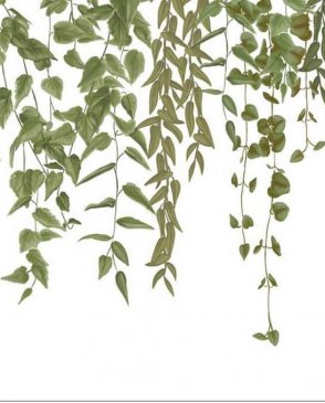 Обои Caselio Kitchen Box Kitchen Box 106950723 изображение 0