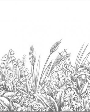 Обои Caselio Kitchen Box Kitchen Box 106960936 изображение 0