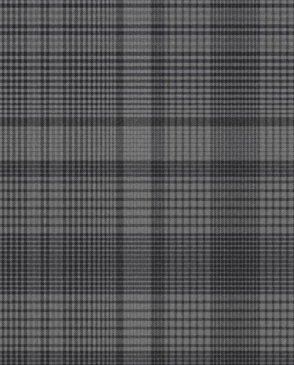 Английские Обои для коридора черные Oblique 107596 изображение 0