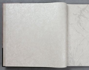 Обои A.S. Creation Sylvana 79126-5 изображение 2