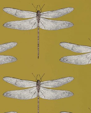 Обои с бабочками, насекомыми Colour 2 111244 изображение 1