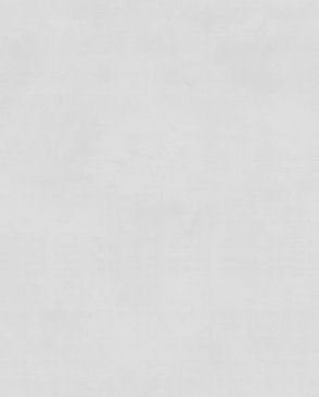 Обои Absolute 2 11273-03 изображение 0