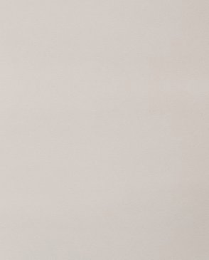 Обои Absolute 2 11328-02 изображение 0