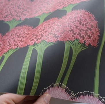 Обои Cole & Son Botanical 115-12037 изображение 3