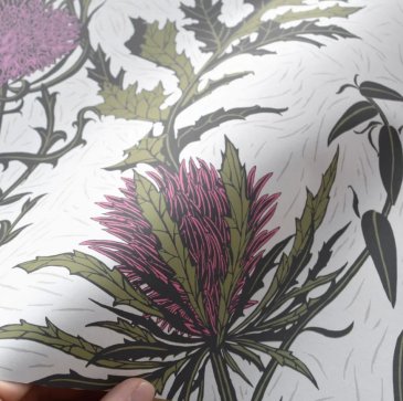 Обои Cole & Son Botanical 115-14044 изображение 2