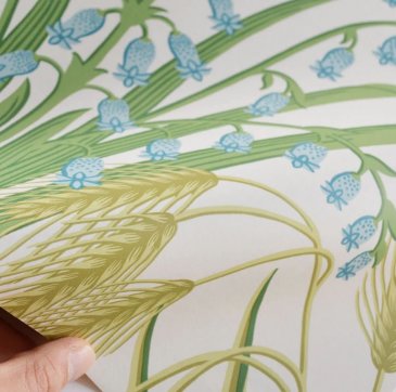 Обои Cole & Son Botanical 115-3008 изображение 3