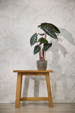 Обои A.S. Creation Alive Eterna 79082-3 изображение 2