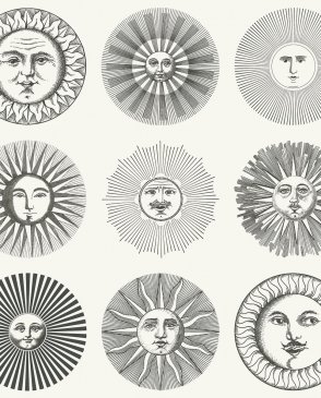 Обои Cole & Son для спальни Fornasetti Senza Tempo 2 123-1001 изображение 0