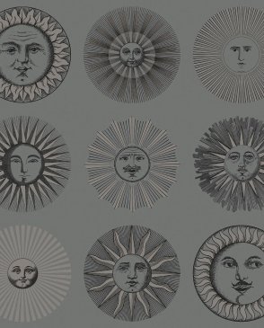 Обои Cole & Son для спальни Fornasetti Senza Tempo 2 123-1003 изображение 0