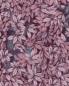 Обои Cole & Son Fornasetti Senza Tempo 2 Fornasetti Senza Tempo 2 123-10048 изображение 0