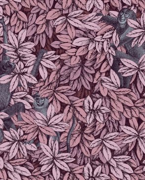 Обои Cole & Son Fornasetti Senza Tempo 2 123-10048