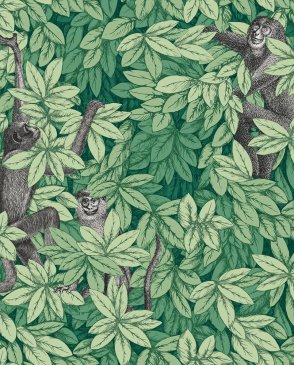 Обои Cole & Son Fornasetti Senza Tempo 2 Fornasetti Senza Tempo 2 123-10049 изображение 0