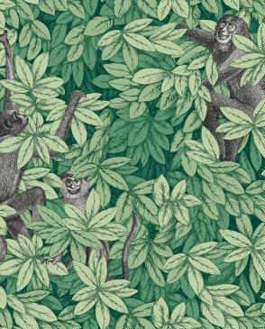 Английские Обои экологичные Fornasetti Senza Tempo 2 123-10049 изображение 0