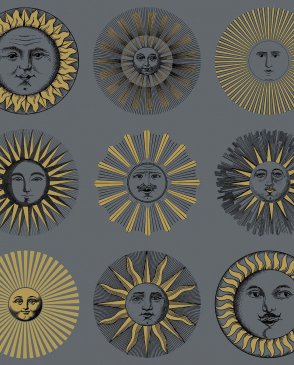 Обои Cole & Son для спальни Fornasetti Senza Tempo 2 123-1004 изображение 0