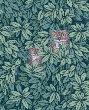 Обои Cole & Son Fornasetti Senza Tempo 2 Fornasetti Senza Tempo 2 123-11051 изображение 0