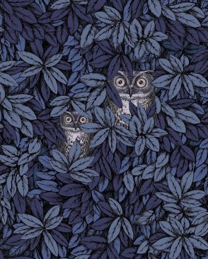 Обои Cole & Son для спальни Fornasetti Senza Tempo 2 123-11053 изображение 0