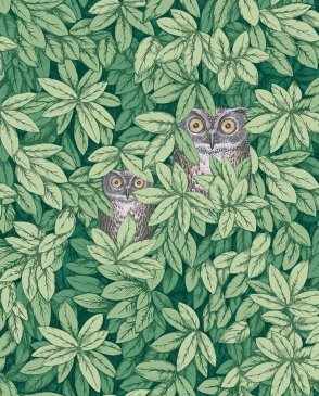 Обои Cole & Son Fornasetti Senza Tempo 2 Fornasetti Senza Tempo 2 123-11054 изображение 0