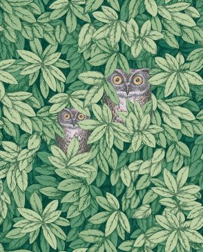 Обои Cole & Son для спальни Fornasetti Senza Tempo 2 123-11054 изображение 0