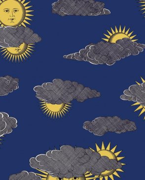 Обои Cole & Son Fornasetti Senza Tempo 2 Fornasetti Senza Tempo 2 123-2006 изображение 0