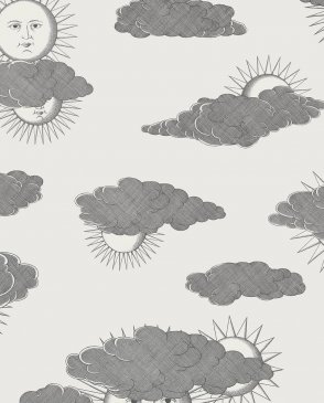 Обои Cole & Son Fornasetti Senza Tempo 2 Fornasetti Senza Tempo 2 123-2007 изображение 0