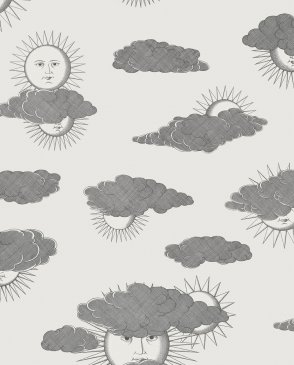 Английские Обои экологичные Fornasetti Senza Tempo 2 123-2007 изображение 0