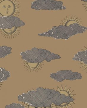 Обои Cole & Son Fornasetti Senza Tempo 2 Fornasetti Senza Tempo 2 123-2011 изображение 0