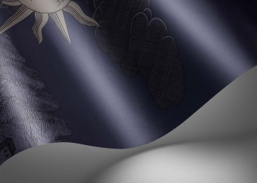 Обои Cole & Son Fornasetti Senza Tempo 2 123-3013 изображение 4