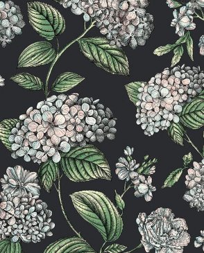 Обои Cole & Son Fornasetti Senza Tempo 2 Fornasetti Senza Tempo 2 123-8038 изображение 0