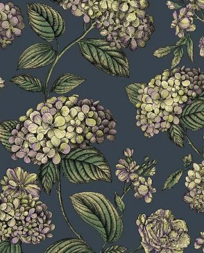 Обои Cole & Son Fornasetti Senza Tempo 2 Fornasetti Senza Tempo 2 123-8042 изображение 0