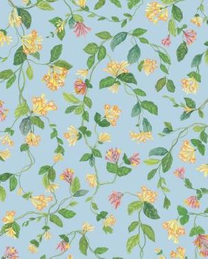 Обои Cole & Son Hummingbirds Cream 124-3018