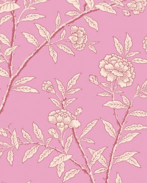 Обои Cole & Son Classics Vol. 1 Classics Vol. 1 127-3017 изображение 0